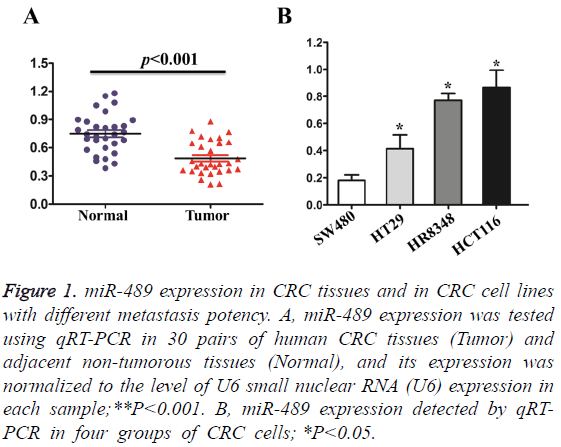 biomedres-miR-489-expression