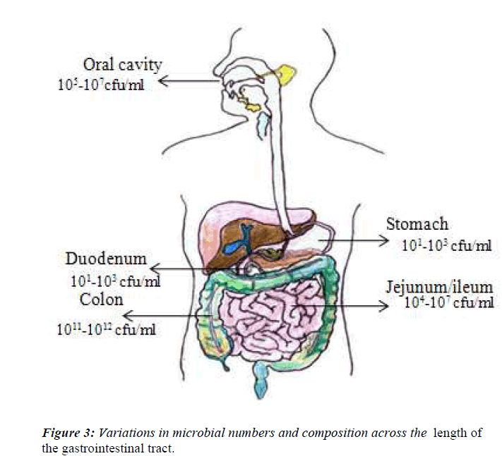 biomedres-microbial-numbers