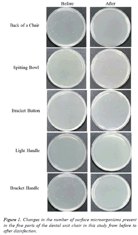 biomedres-microorganisms