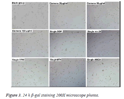 biomedres-microscope-photos