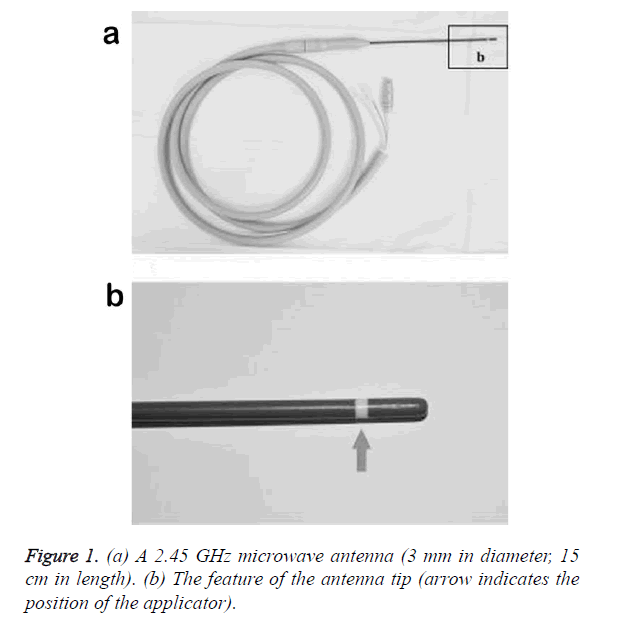 biomedres-microwave-antenna