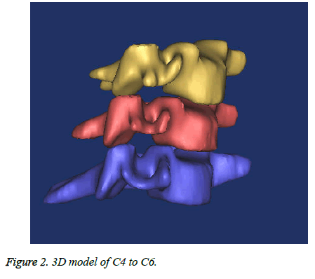 biomedres-model