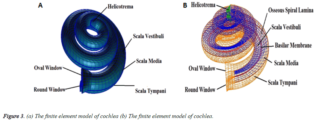 biomedres-model-cochlea