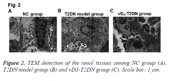 biomedres-model-group