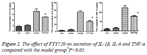 biomedres-model-group