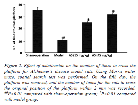 biomedres-model-group