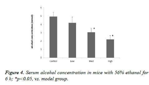 biomedres-model-group