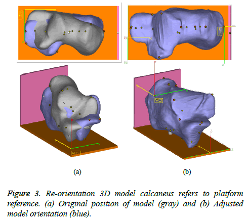 biomedres-model-orientation