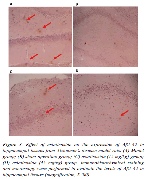 biomedres-model-rats