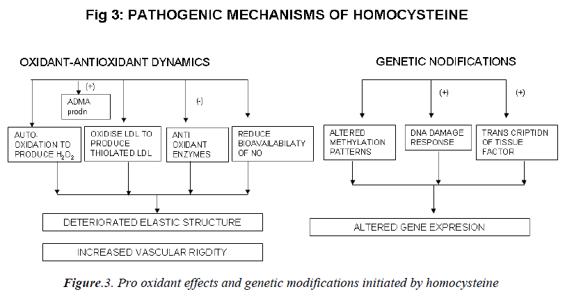 biomedres-modifications-initiated