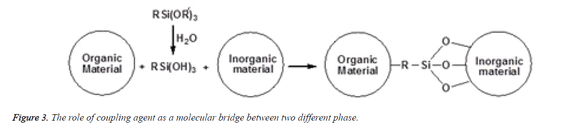 biomedres-molecular-bridge