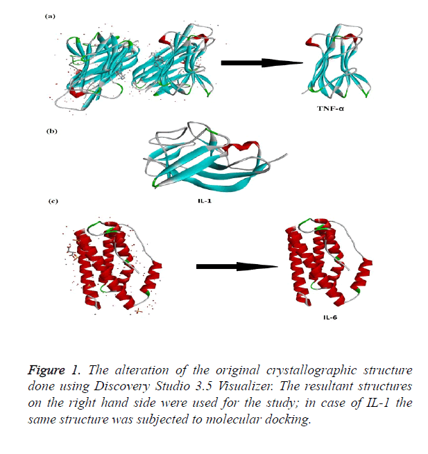 biomedres-molecular-docking