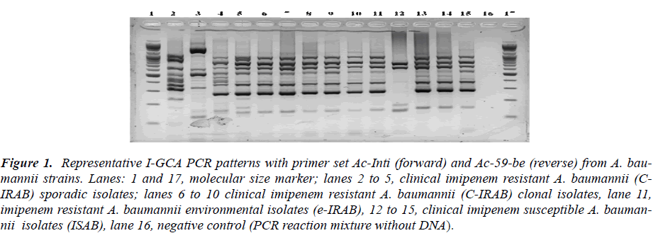 biomedres-molecular-size-marker