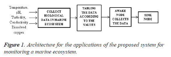 biomedres-monitoring-marine-ecosystem