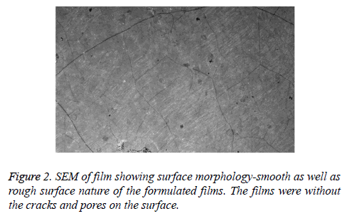 biomedres-morphology-smooth