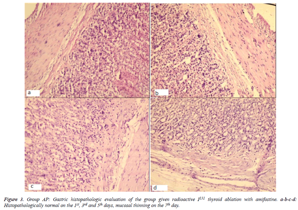 biomedres-mucosal-thinning