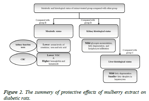 biomedres-mulberry-extract