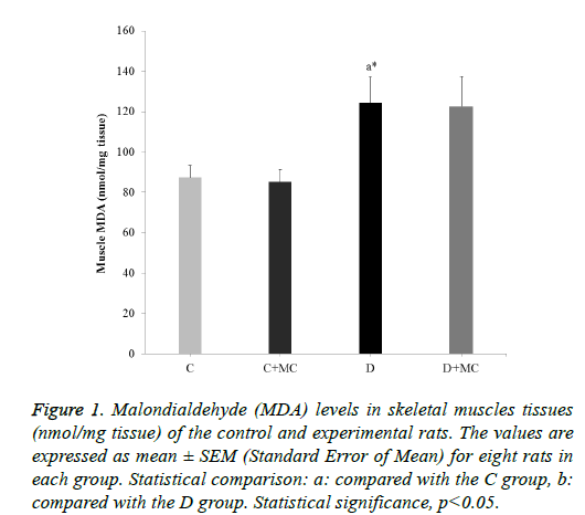 biomedres-muscles-tissues