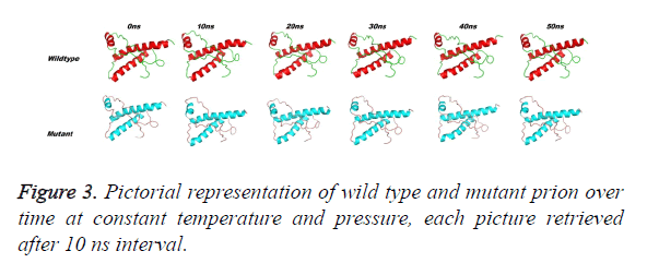 biomedres-mutant-prion