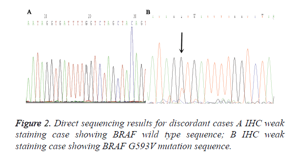 biomedres-mutation-sequence