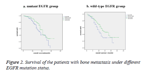 biomedres-mutation-status