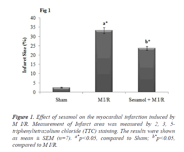 biomedres-myocardial-infarction