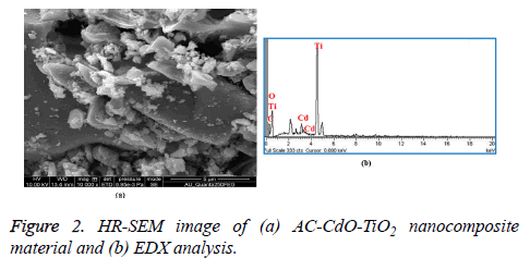 biomedres-nanocomposite