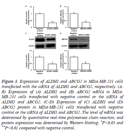 biomedres-negative-control