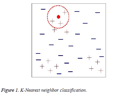 biomedres-neighbor-classification