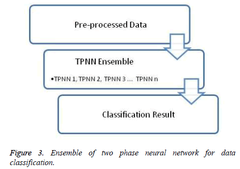 biomedres-network-data