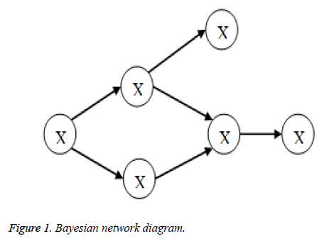 biomedres-network-diagram