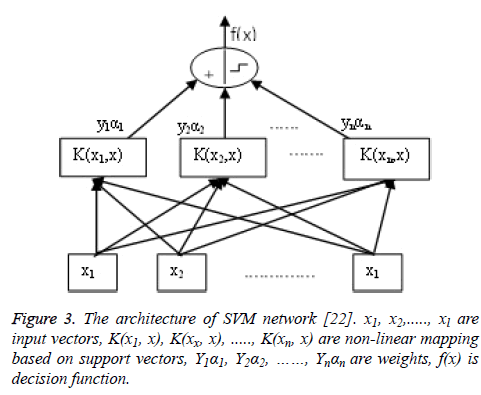 biomedres-network-weights