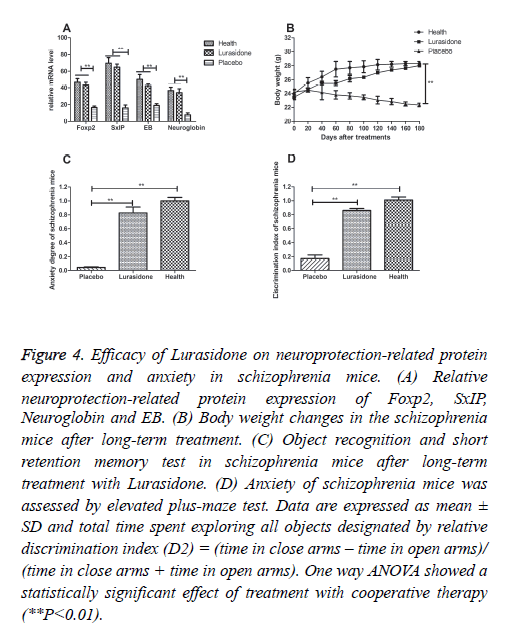 biomedres-neuroprotection-related-protein