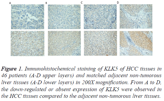 biomedres-non-tumorous-liver-tissues