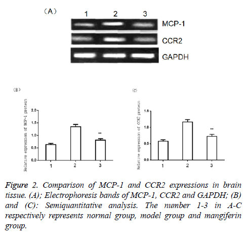 biomedres-normal-group