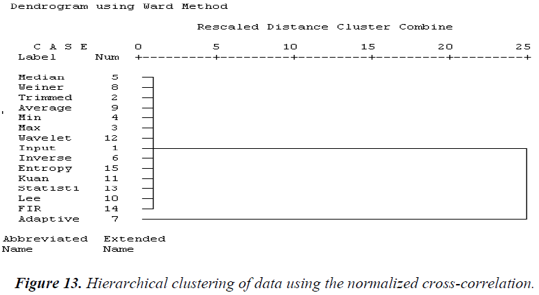 biomedres-normalized-cross-correlation