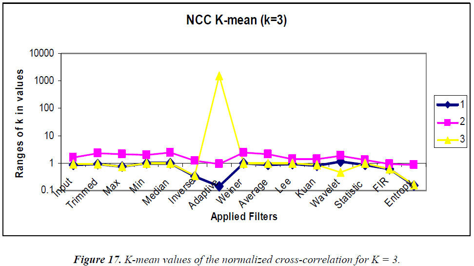 biomedres-normalized-cross-correlation