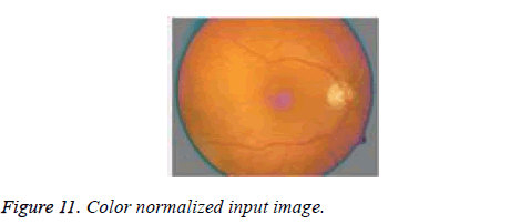 biomedres-normalized-input