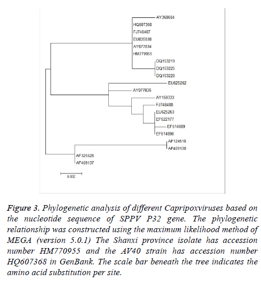 biomedres-nucleotide-sequence