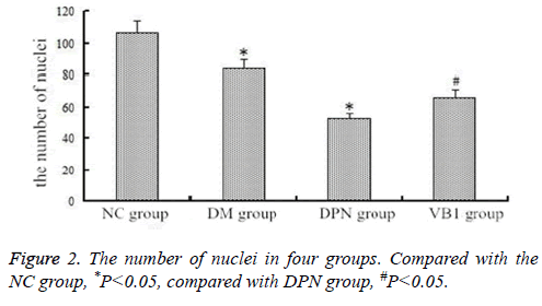 biomedres-nucleus-ribosome