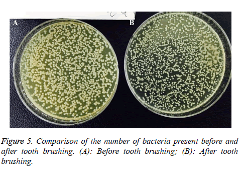biomedres-number-bacteria