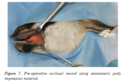 biomedres-occlusal-record