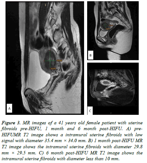 biomedres-old-female