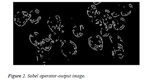 biomedres-operator-output