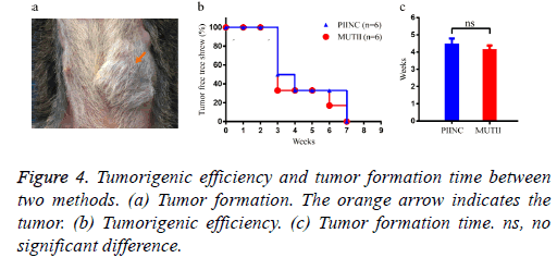 biomedres-orange-arrow