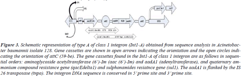 biomedres-orientation-open-circles