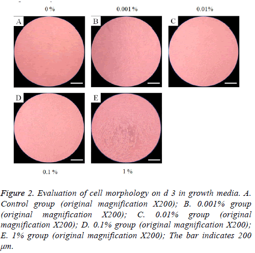 biomedres-original-magnification