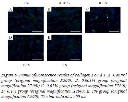 biomedres-original-magnification