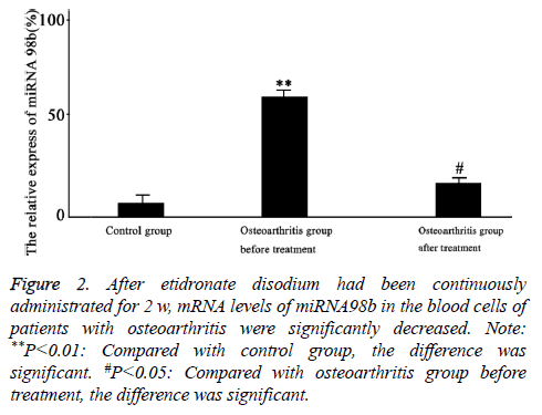 biomedres-osteoarthritis-group