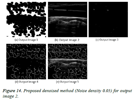 biomedres-output-image